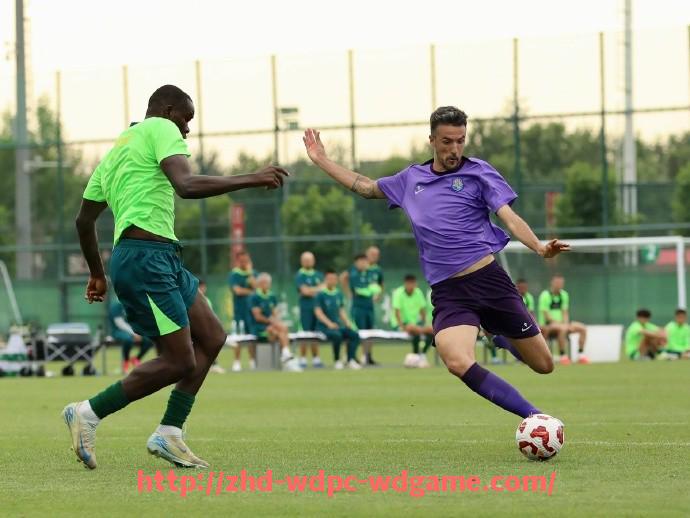 问鼎娱乐官方网站-拥有资本背景的德甲球队及商业战略解析