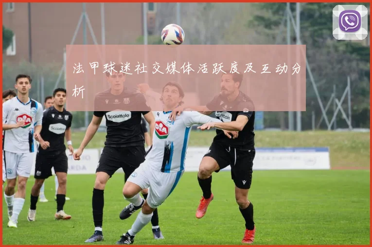 法甲球迷社交媒体活跃度及互动分析