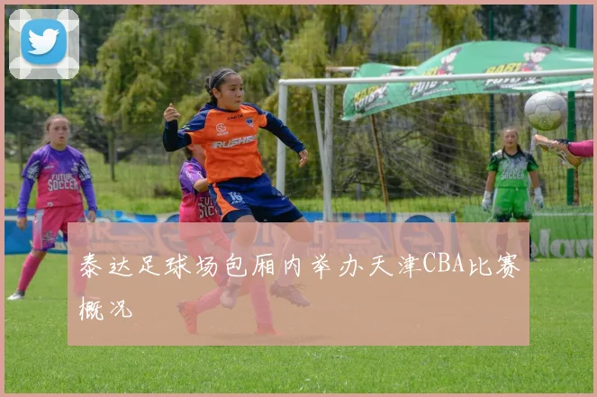 泰达足球场包厢内举办天津CBA比赛概况