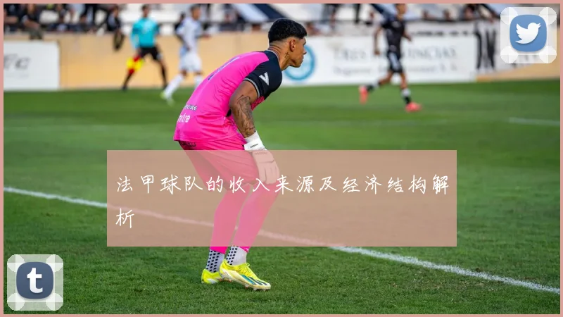 法甲球队的收入来源及经济结构解析